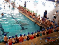 Escolares en una clase de natación